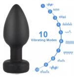 Remote controlled Anal plug